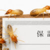 サムネイル シロアリ 保証