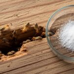 シロアリ対策 ホウ酸