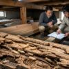 サムネイル シロアリ 補助金