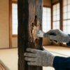 サムネイル シロアリ 柱 補修